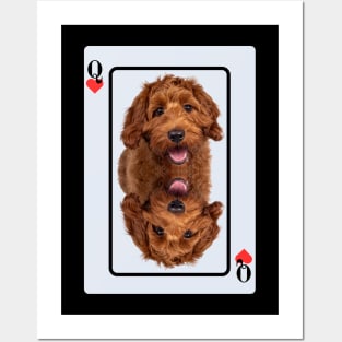 Labradoodle Posters and Art